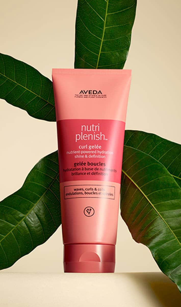 nutriplenish™ curl gelée